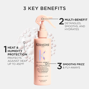 Gloss Absolu Anti-Frizz Milk