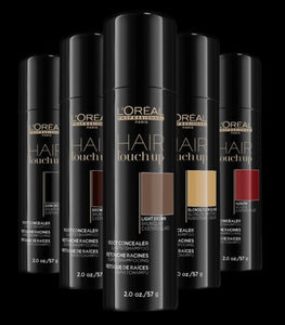 L’Oreal Professionnel Hair Touch Up